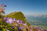 Region Sommer Bild 26