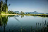 Region Sommer Bild 0