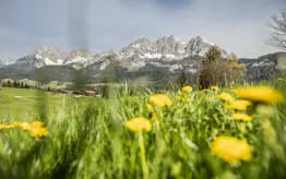 Sommerfrische-in-den-Kitzbueheler-Alpen Sommerfrische-in-den-Kitzbueheler-Alpen